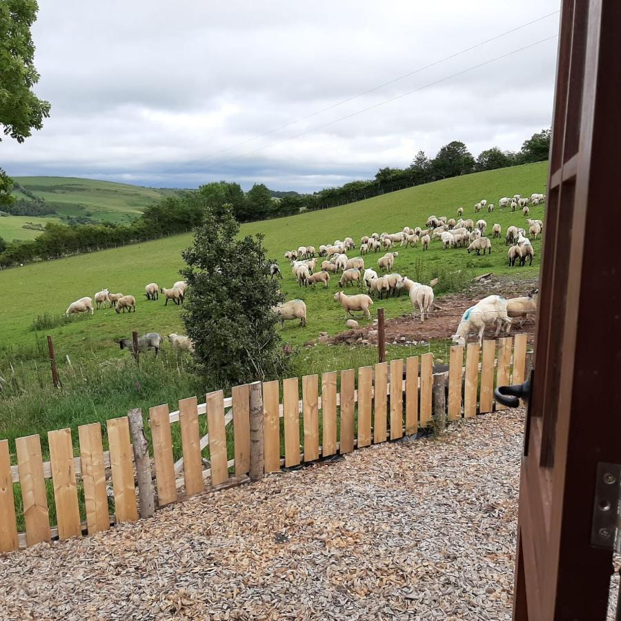 Foxglove Accommodation Craven Arms Exterior photo